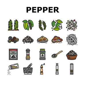 Black Pepper Aromatic Hot Spice Icons Set Vector. Ground Spicy Ingredient For Cooking And Seasoning Dish, Growing Plant And Drying Seeds. Mechanical And Electrical Mill Color Illustrations