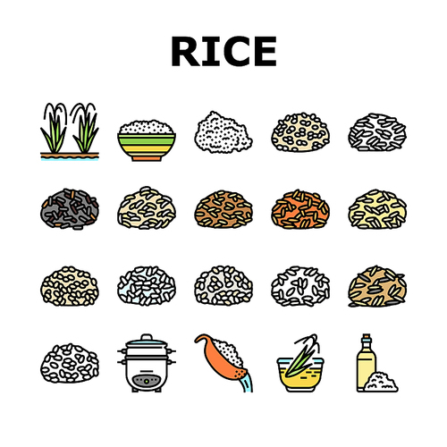 Rice For Preparing Delicious Food Icons Set Vector. Valencia And Basmati, Jasmine And Brown Rice Grain. Cooker Electronic Gadget For Cooking And Boiling Tasty Meal Color Illustrations