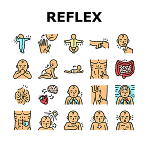 Reflex Of Human Neurology System Icons Set Vector. Cremasteric And Gastrocolic, Asymmetrical Tonic Neck And Palmar Grasp Reflex. Muscular Defense And Photic Sneeze Color Illustrations
