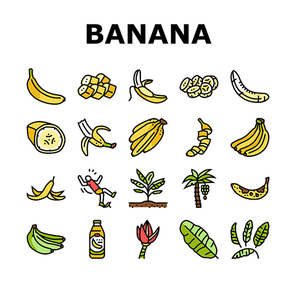 banana fruit food yellow white icons set vector. peel bunch, ripe fresh sweet, tropical healthy, green organic raw snack slice, delicious banana fruit food yellow white color line illustrations