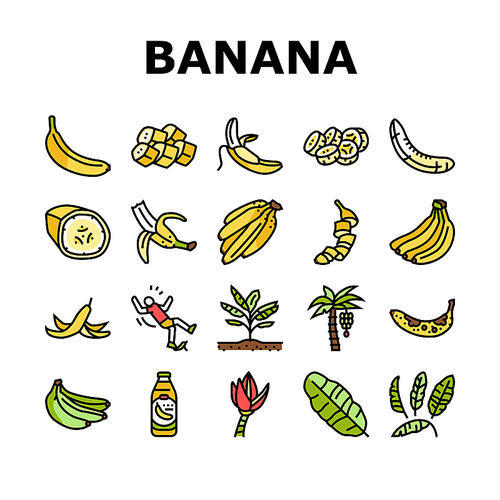 banana fruit food yellow white icons set vector. peel bunch, ripe fresh sweet, tropical healthy, green organic raw snack slice, delicious banana fruit food yellow white color line illustrations