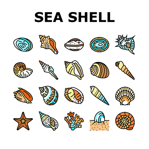 sea shell beach summer ocean icons set vector. seashell starfish, marine scallop, snail sand, star tropical water, spiral animal sea shell beach summer ocean color line illustrations
