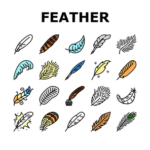 feather bird soft quil fluffy icons set vector. plume, plumage light, falling angel, fluff swan, lightwell pen, goose ink smooth feather bird soft quil fluffy color line illustrations