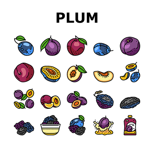 plum fruit green red prune icons set vector. orchard, blur food slice, tree top art, round purple dessert plum fruit green red prune color line illustrations