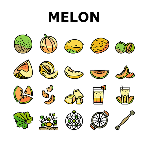 melon cantaloupe yellow fruit icons set vector. green muskmelon, honeydew cut food, honey japanese sweet, fresh slice half melon cantaloupe yellow fruit color line illustrations