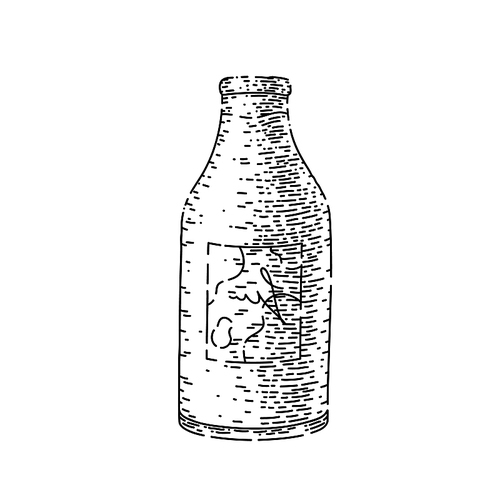 milk bottle hand drawn vector. glass fresh, dairy cow, organic full farm product milk bottle sketch. isolated black illustration