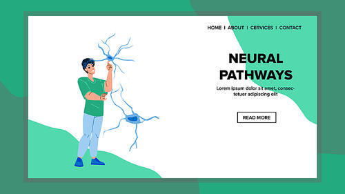 Neural pathways brain. nervous system. human science. pathway biology. neuron anatomy character web flat cartoon illustration