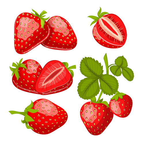 strawberry fruit set cartoon vector. fresh red berry, sweet leaf, juice summer food strawberry fruit vector illustration