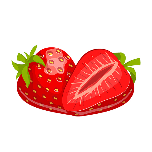 strawberry cartoon vector. cut red berry, sweet ripe dessert, healthy strawberry vector illustration