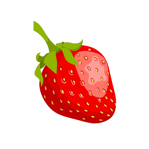 strawberry cartoon vector. cut red berry, sweet ripe , healthy juice strawberry vector illustration