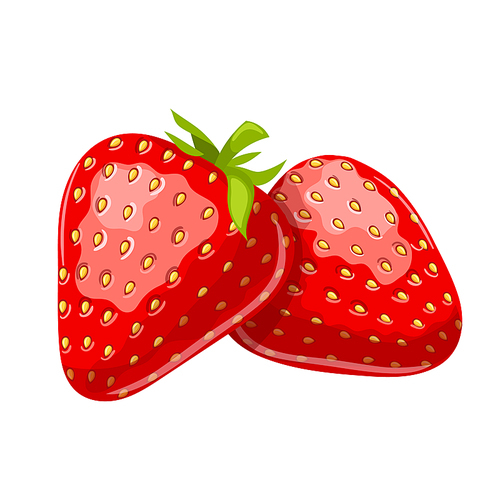 strawberry cartoon vector. cut red berry, sweet ripe dessert, juice strawberry vector illustration