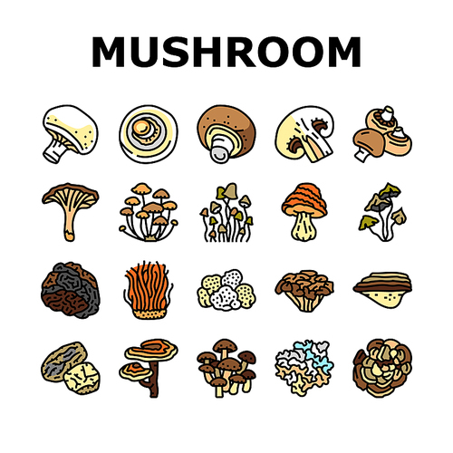 mushroom food forest fungi icons set vector. fungus champignon, nature fresh, plant autumn porcini, organic psychedelic vegetable mushroom food forest fungi color line illustrations