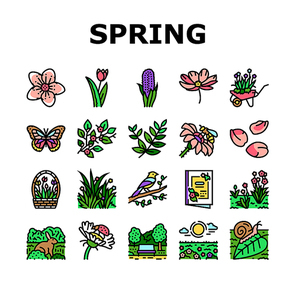 spring season flower nature icons set vector. flora plant, green leaf, blossom garden, beauty fresh tree, grass sky, beautiful spring season flower nature color line illustrations