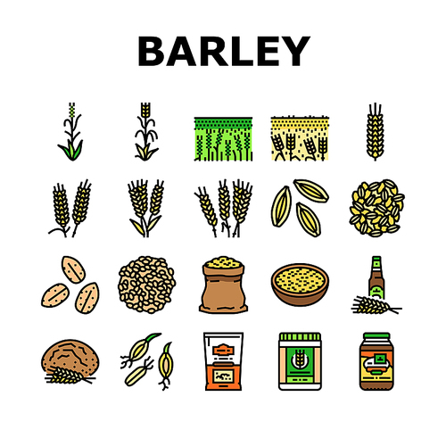 barley cereal grain harvest icons set vector. agriculture food, wheat crop, seed bread, organic plant, rye farm, healthy, nature barley cereal grain harvest color line illustrations