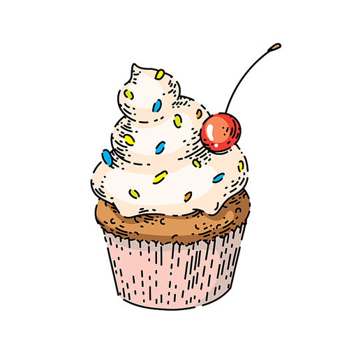 cupcake sketch hand drawn vector birthday food, rainbow dessert, delicious cream vintage color line illustration