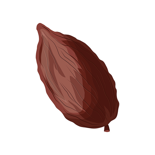 chocolate cocoa cartoon vector. cacao chocolate, plant tree, fruit pod, seed leaf chocolate cocoa. isolated color illustration