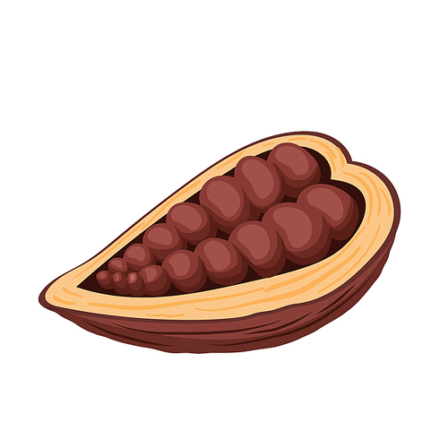 cocoa bean cartoon vector. plant tree, sweet dessert, organic dark , fruit seed cocoa bean. isolated color illustration