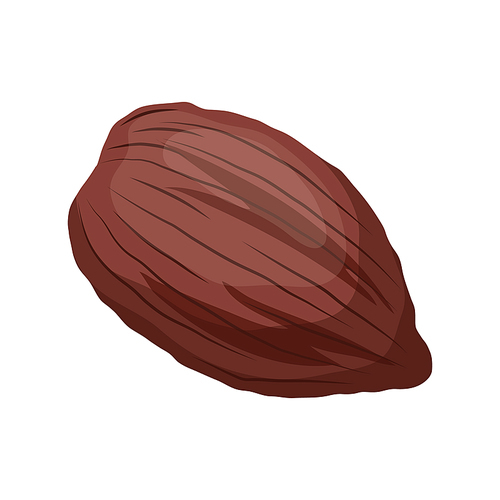 cocoa bean cartoon vector. plant tree, sweet, organic dark candy, fruit seed cocoa bean. isolated color illustration