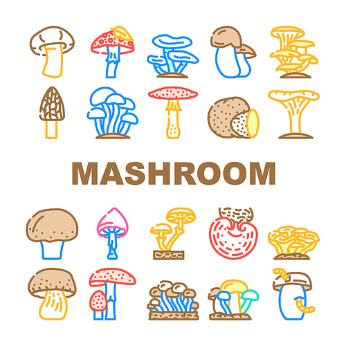 Mushroom Vegetable And Fungus Icons Set Vector. Shitake And Porcini, Morel And Toadstool, Fungi And Amanita Mushroom. Delicious Natural And Vitamin Champignon And Truffle Color Illustrations