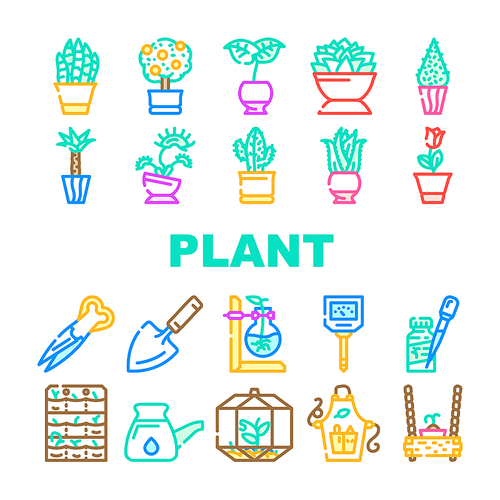 Potted Plant And Care Accessories Icons Set Vector. Sansevieria Trifasciata And Citrus Tree, Monstera Deliciosa And Buxus Sempervirens Potted Plant. Florarium Equipment Color Illustrations