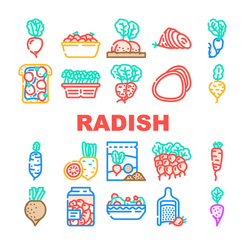 radish food organic vegetable icons set vector. healthy plant, garden nature, red ripe ingridient, natural root, vitamin nutrition radish food organic vegetable color line illustrations