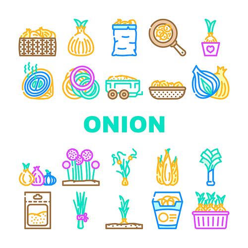 onion white red food vegetable icons set vector. cut fresh, half slice, raw purple green, cooking organic plant ingredient bulb onion white red food vegetable color line illustrations