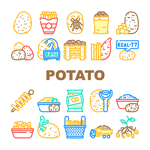 potato vegetable food fresh icons set vector. raw organic plant, sweet cut pile, farm agriculture slice, harvest field root potato vegetable food fresh color line illustrations