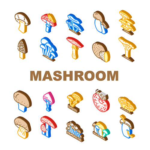 Mushroom Vegetable And Fungus Icons Set Vector. Shitake And Porcini, Morel And Toadstool, Fungi Amanita Mushroom. Delicious Natural Vitamin Champignon And Truffle Isometric Sign Color Illustrations