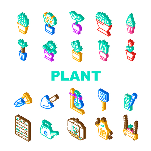 Potted Plant And Care Accessories Icons Set Vector. Sansevieria Trifasciata Citrus Tree, Monstera Deliciosa And Buxus Sempervirens Potted Plant. Florarium Equipment Isometric Sign Color Illustrations