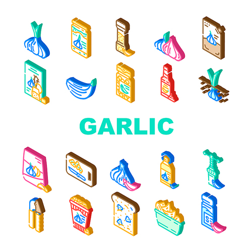 garlic white clove fresh icons set vector. spice food, plant vegetable, organic healthy, whole bulb, green garlic white clove fresh isometric sign illustrations