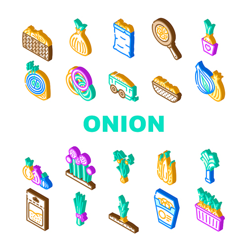 onion white red food vegetable icons set vector. cut fresh, half slice, raw purple green, cooking organic plant ingredient bulb onion white red food vegetable isometric sign illustrations