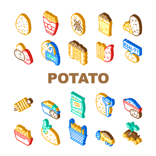 potato vegetable food fresh icons set vector. raw organic plant, sweet cut pile, farm agriculture slice, harvest field root potato vegetable food fresh isometric sign illustrations