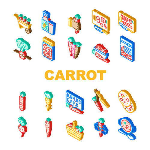 carrot vegetable orange food icons set vector. fresh green plant, healthy organic raw cut, leaf, root diet, garden salad nutrition carrot vegetable orange food isometric sign illustrations