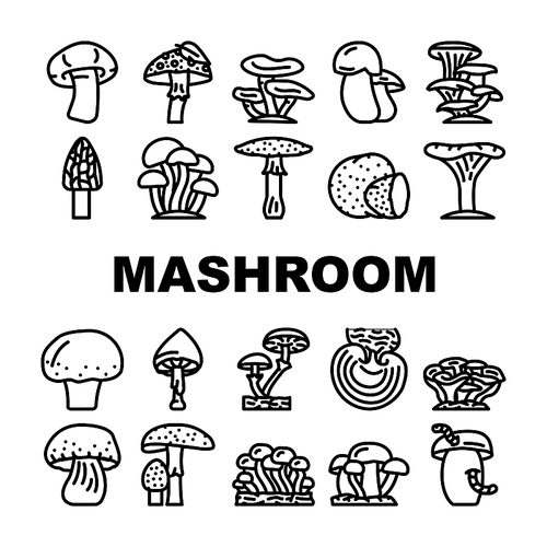 Mushroom Vegetable And Fungus Icons Set Vector. Shitake And Porcini, Morel And Toadstool, Fungi And Amanita Mushroom. Delicious Natural And Vitamin Champignon And Truffle Black Contour Illustrations