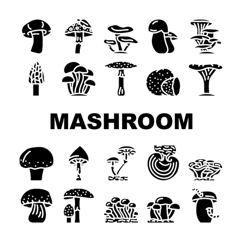 Mushroom Vegetable And Fungus Icons Set Vector. Shitake And Porcini, Morel And Toadstool, Fungi Amanita Mushroom. Delicious Natural And Vitamin Champignon Truffle Glyph Pictograms Black Illustration