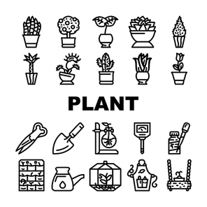 Potted Plant And Care Accessories Icons Set Vector. Sansevieria Trifasciata And Citrus Tree, Monstera Deliciosa And Buxus Sempervirens Potted Plant. Florarium Equipment Black Contour Illustrations