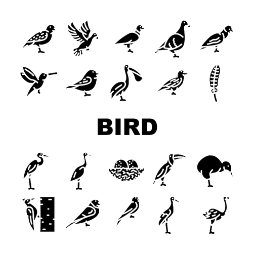 Bird Flying And Eggs In Nest Icons Set Vector. Toucan And Eagle, Crane And Pelican, Sparrow And Stork Flight Bird. Hummingbird And Woodpecker Wildlife In Nature Glyph Pictograms Black Illustration
