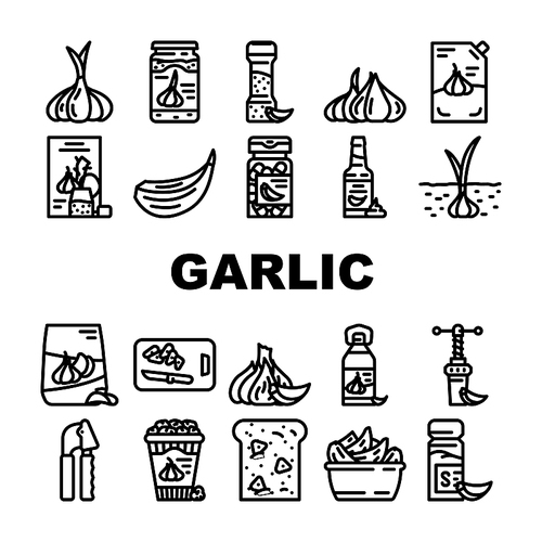 garlic white clove fresh icons set vector. spice food, plant vegetable, organic healthy, whole bulb, green garlic white clove fresh black contour illustrations