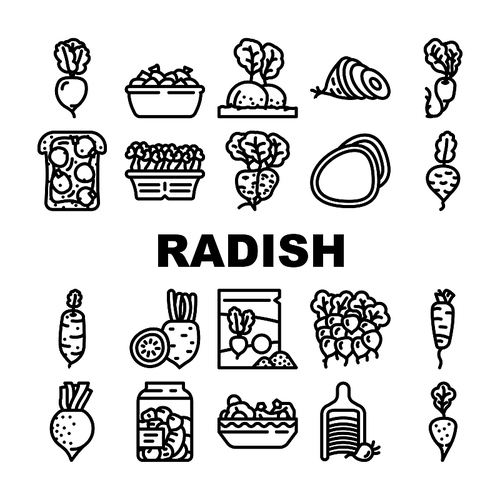 radish food organic vegetable icons set vector. healthy plant, garden nature, red ripe ingridient, natural root, vitamin nutrition radish food organic vegetable black contour illustrations
