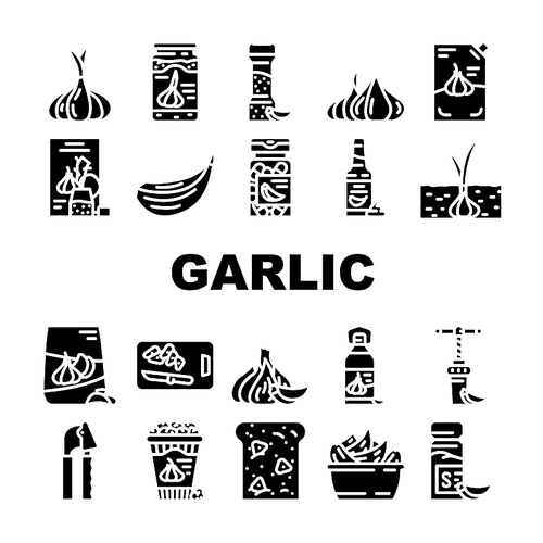 garlic white clove fresh icons set vector. spice food, plant vegetable, organic healthy, whole bulb, green garlic white clove fresh glyph pictogram Illustrations
