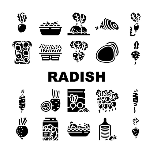 radish food organic vegetable icons set vector. healthy plant, garden nature, red ripe ingridient, natural root, vitamin nutrition radish food organic vegetable glyph pictogram Illustrations