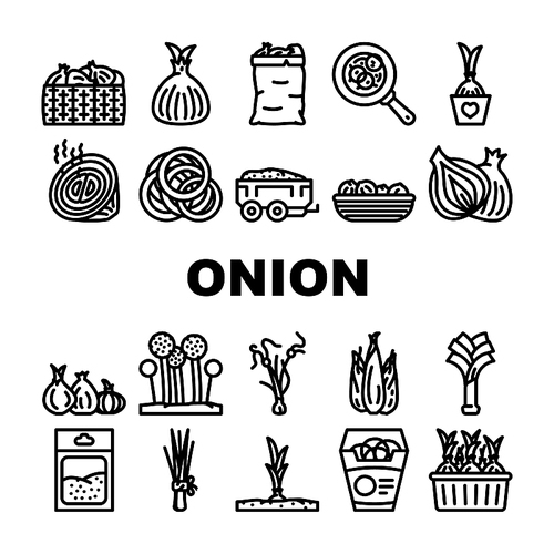 onion white red food vegetable icons set vector. cut fresh, half slice, raw purple green, cooking organic plant ingredient bulb onion white red food vegetable black contour illustrations