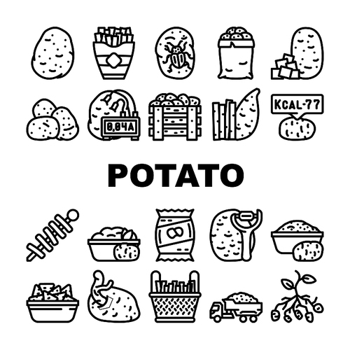 potato vegetable food fresh icons set vector. raw organic plant, sweet cut pile, farm agriculture slice, harvest field root potato vegetable food fresh black contour illustrations