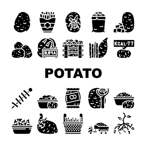 potato vegetable food fresh icons set vector. raw organic plant, sweet cut pile, farm agriculture slice, harvest field root potato vegetable food fresh glyph pictogram Illustrations