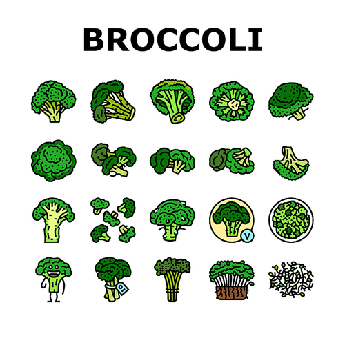 broccoli food cabbage vegetable icons set vector. brocolli green, vegan character, design salad, plant veggie, happy healthy, vitamin broccoli food cabbage vegetable color line illustrations