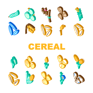 cereal plant healthy food icons set vector. breakfast bowl, milk corn, wheat grain, snack morning, organic meal, sweet cereal plant healthy food isometric sign illustrations