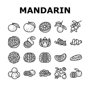 mandarin clementine orange fruit icons set vector. tangerine citrus, fresh food, organic sweet green leaf, healthy juice tropical slice mandarin clementine orange fruit black contour illustrations