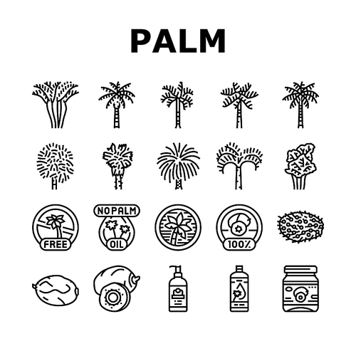 palm oil tree leaf plant icons set vector. summer white coconut, green nature, beach exotic, branch forest, tropical foliage palm oil tree leaf plant black contour illustrations