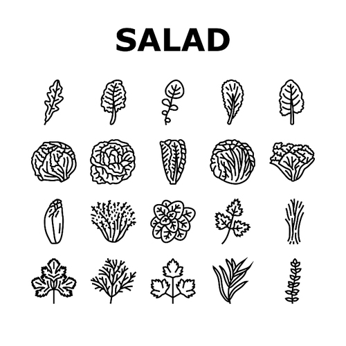 salad food healthy green fresh icons set vector. vegetable bowl, meal lunch, dish dinner, lettuce tomato, plate vegetarian, diet salad food healthy green fresh black contour illustrations