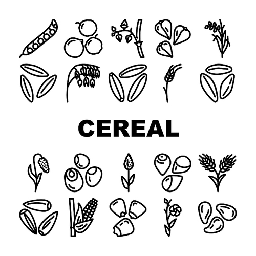 cereal plant healthy food icons set vector. breakfast bowl, milk corn, wheat grain, snack morning, organic meal, sweet cereal plant healthy food black contour illustrations